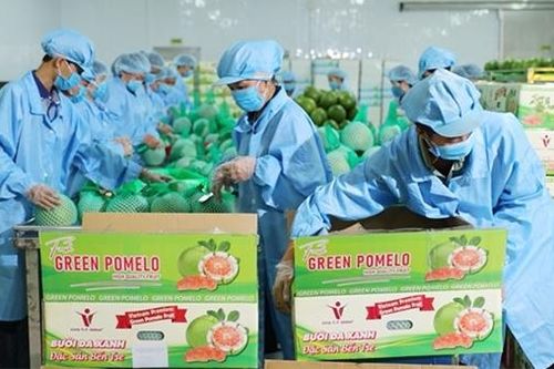 Hàng Việt rộng cửa vào thị trường Mỹ