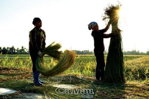 Nghề lác Quảng Xương