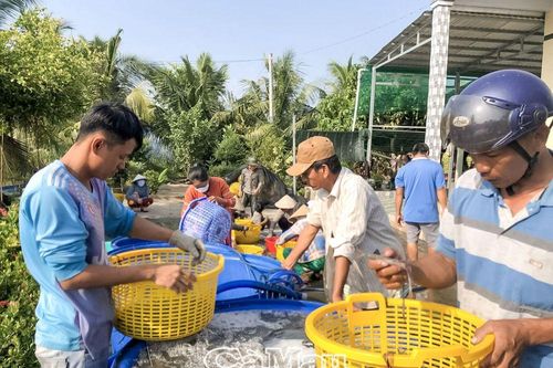 Cần cú huých toàn diện cho kinh tế nông nghiệp