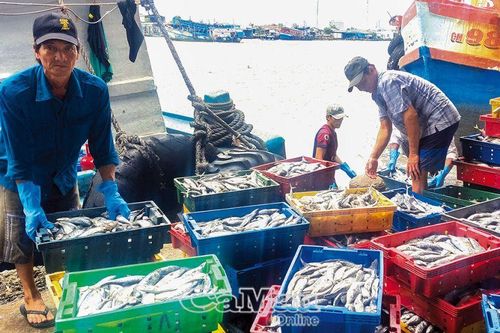 Kỳ vọng chuyến biển cuối năm