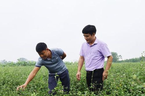 Nông dân Mỹ Đức không ngừng vươn lên