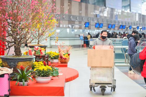 Những nỗi sợ Tết