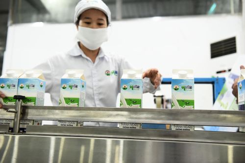 Công ty sữa lâu đời nhất Việt Nam lãi kỷ lục nhờ gửi tiền ngân hàng