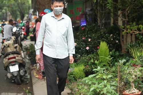 Phố cây cảnh Hà Nội rực rỡ đón Tết