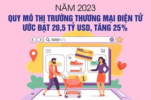 Quy mô thị trường thương mại điện tử ước đạt 20,5 tỷ USD, tăng 25%