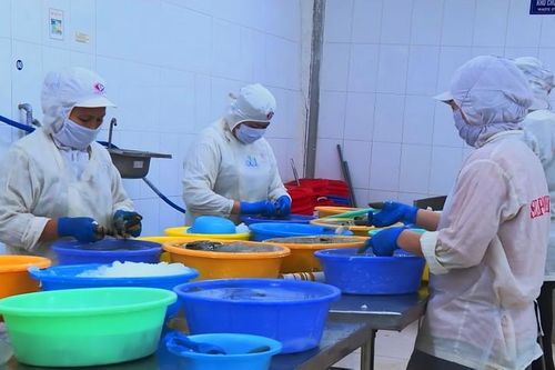 Cà Mau: Tháo gỡ khó khăn về pháp lý cho doanh nghiệp nhỏ và vừa