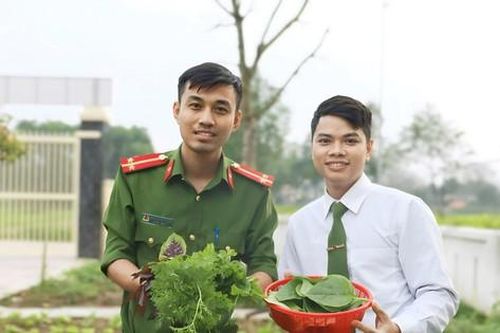 Xanh mướt vườn rau thanh niên công an xã
