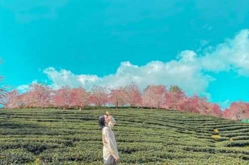 Các điểm du lịch hấp dẫn mới ở Lào Cai