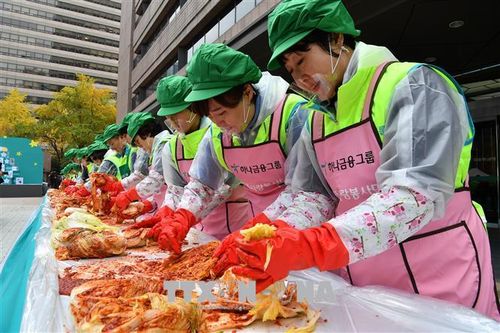 Xuất khẩu kim chi của Hàn Quốc đạt kỷ lục mới