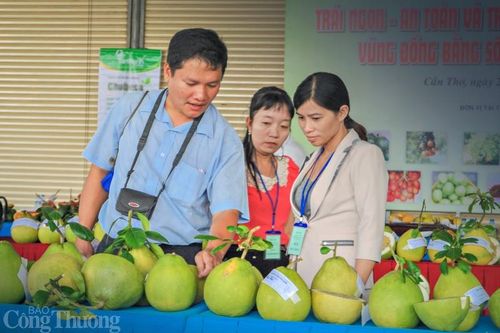 Vĩnh Long: Thêm một vụ Tết đìu hiu ở xứ sở bưởi Năm Roi