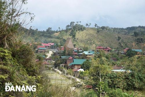 Khởi sắc Vi Rơ Ngheo