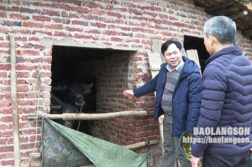 Lộc Bình: Kiểm tra công tác phòng chống rét cho gia súc, gia cầm ở các xã