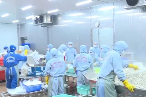 Thanh Hóa: Các mặt hàng xuất khẩu trong tháng 1 tăng cao so với cùng kỳ năm 2023