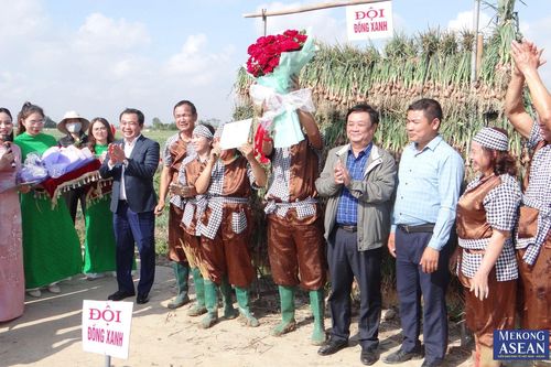Ảnh rộn rã Hội thi thu hoạch hành, tỏi Kinh Môn ở Hải Dương