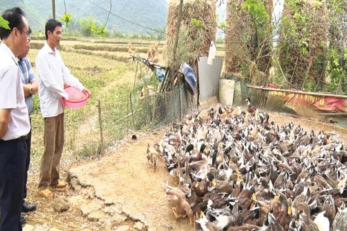 Đẩy mạnh hoạt động dịch vụ, tư vấn, hỗ trợ cho nông dân