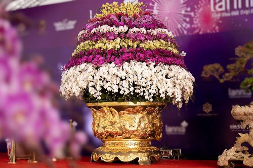 Cận cảnh chậu hoa lan dát vàng khổng lồ giá gần 4 tỷ đồng chào Tết 2024