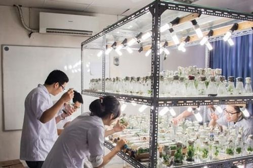Bất ngờ xếp hạng đại học năm 2024