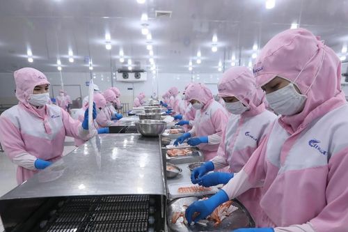 Thuận lợi và thách thức
