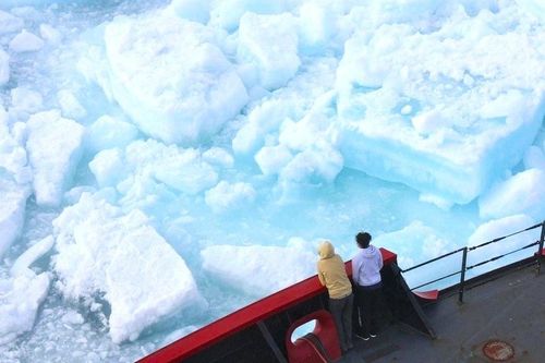 Đại dịch mới đang 'ngủ đông' dưới lớp băng vĩnh cửu?