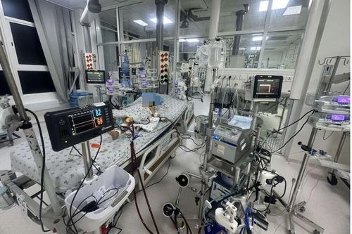 Bé gái suy hô hấp sau 2 ngày sốt vì loại virus nguy hiểm