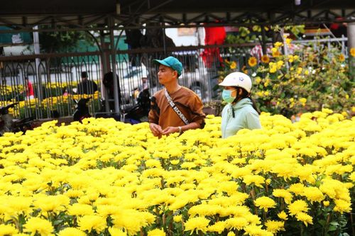 Đi qua chợ Tết