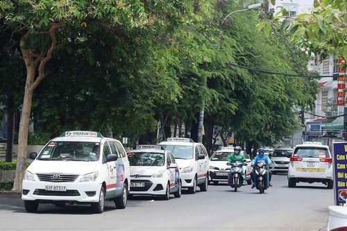 Bị 4 công ty mạo danh Vinasun Taxi kinh doanh lỗ lãi sao?