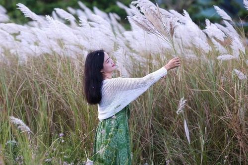 Tản văn Bông lau hiu hắt chiều Đông