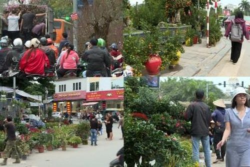 Hà Nội: Người đi bộ bất đắc dĩ nhường vỉa hè cho hoa, cây cảnh dịp gần tết