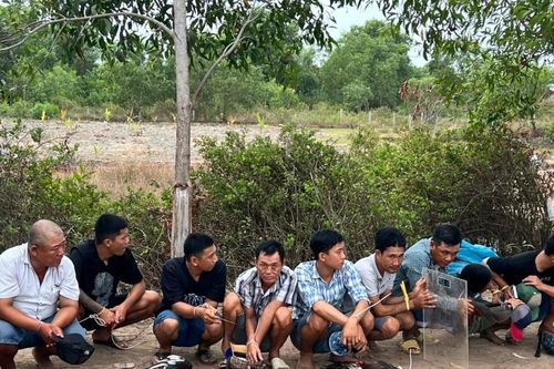 Kiên Giang: Bắt quả tang hơn 22 đối tượng đá gà ăn tiền