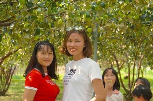 Mê mẩn vườn táo trĩu quả, giới trẻ đổ xô đến check-in