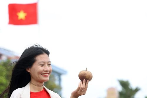 Bàng vuông Trường Sa - biểu tượng sức sống mãnh liệt của người lính Hải quân