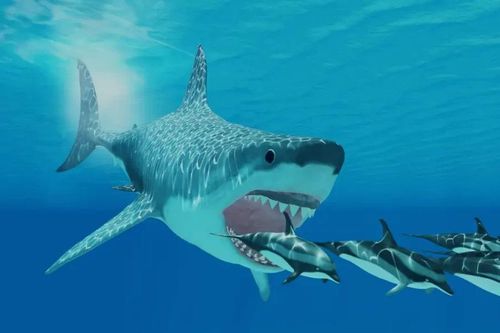 Hé lộ những bí mật mới về 'siêu quái vật' Megalodon thời tiền sử