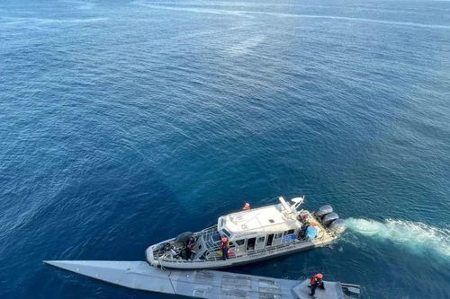 Colombia, Ecuador chặn bắt tàu chở ma túy ở Thái Bình Dương