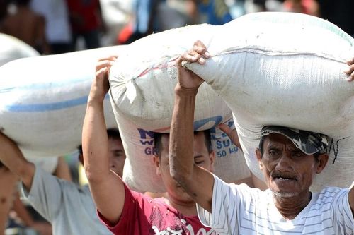 Philippines tiếp tục là nước nhập khẩu gạo hàng đầu trong năm 2024