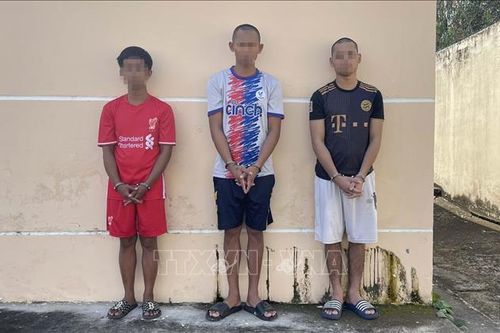 Phát hiện, bắt giữ nhiều vụ mua bán, tàng trữ, vận chuyển chất ma túy, pháo lậu