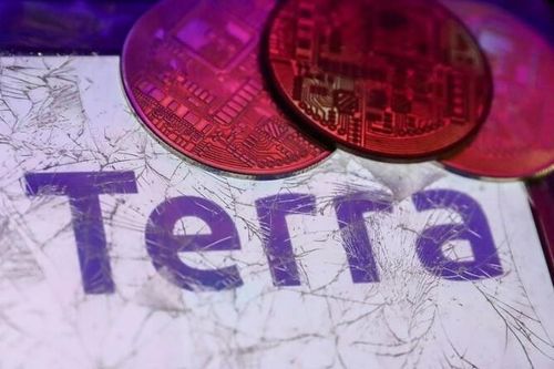 Công ty tiền kỹ thuật số Terraform Labs nộp đơn xin bảo hộ phá sản ở Mỹ