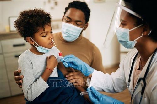WHO: Thế giới có thể lỡ hẹn một 'hiệp ước đại dịch'