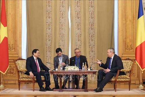 Thủ tướng Phạm Minh Chính hội kiến Chủ tịch Thượng viện Romania