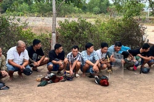 Kiên Giang: Bắt quả tang hơn 22 đối tượng đá gà ăn tiền
