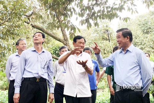 Chú trọng chất lượng nông sản để phát triển bền vững