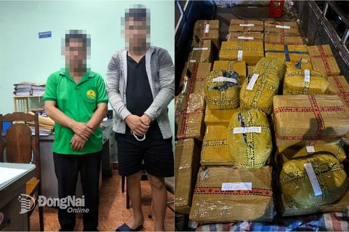 Triệt phá đường dây mua bán hơn 700kg pháo nổ