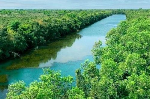 Khai mở 'tàng thư ' tài nguyên sinh thái