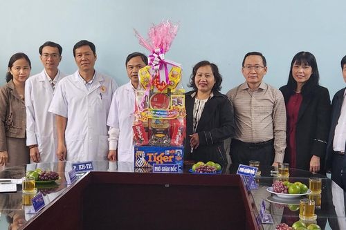 Phó Chủ tịch HĐND tỉnh Ayun H'Bút thăm, chúc Tết Nguyên đán Giáp Thìn 2024