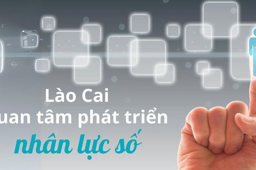 Lào Cai quan tâm phát triển nhân lực số