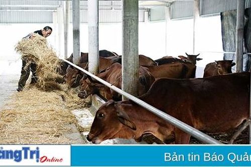 Nhiều giải pháp để đẩy mạnh cơ cấu lại nông nghiệp ở Hải Lăng
