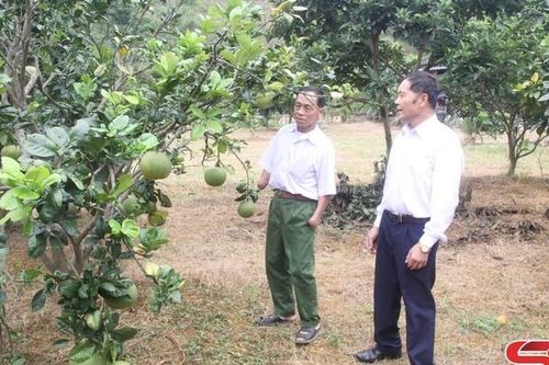 54.130 hội viên người cao tuổi đạt danh hiệu 'Tuổi cao - Gương sáng'