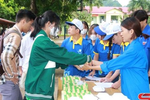 Chú trọng phát triển đảng trong ĐVTN