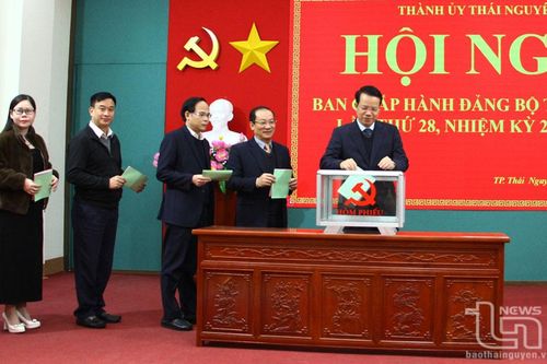 Thành ủy Thái Nguyên: Thực hiện quy trình về công tác cán bộ