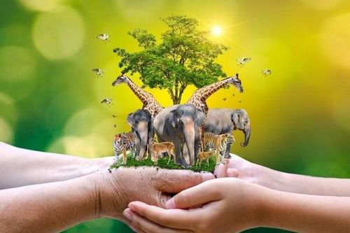 Xử lý nghiêm hành vi buôn bán động vật hoang dã dịp Tết Nguyên đán Giáp Thìn 2024
