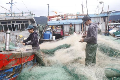 Sẽ có thêm 3 Nghị định thư giữa Việt Nam và Trung Quốc